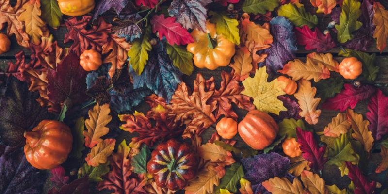 Halloween Decorations